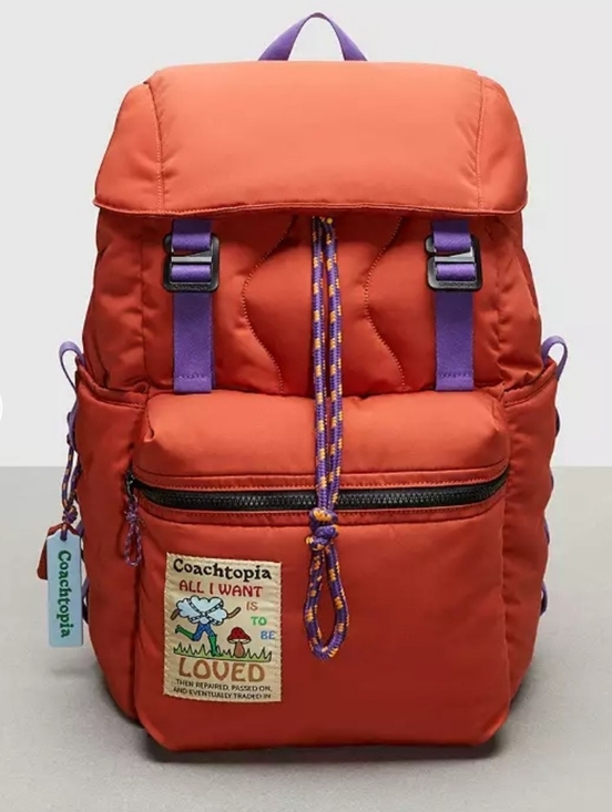 Coach Handbags - New Coachtopia Loop Backpack